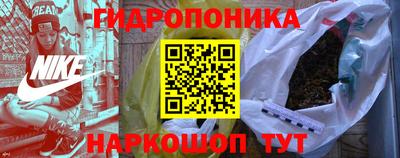индика Краснознаменск